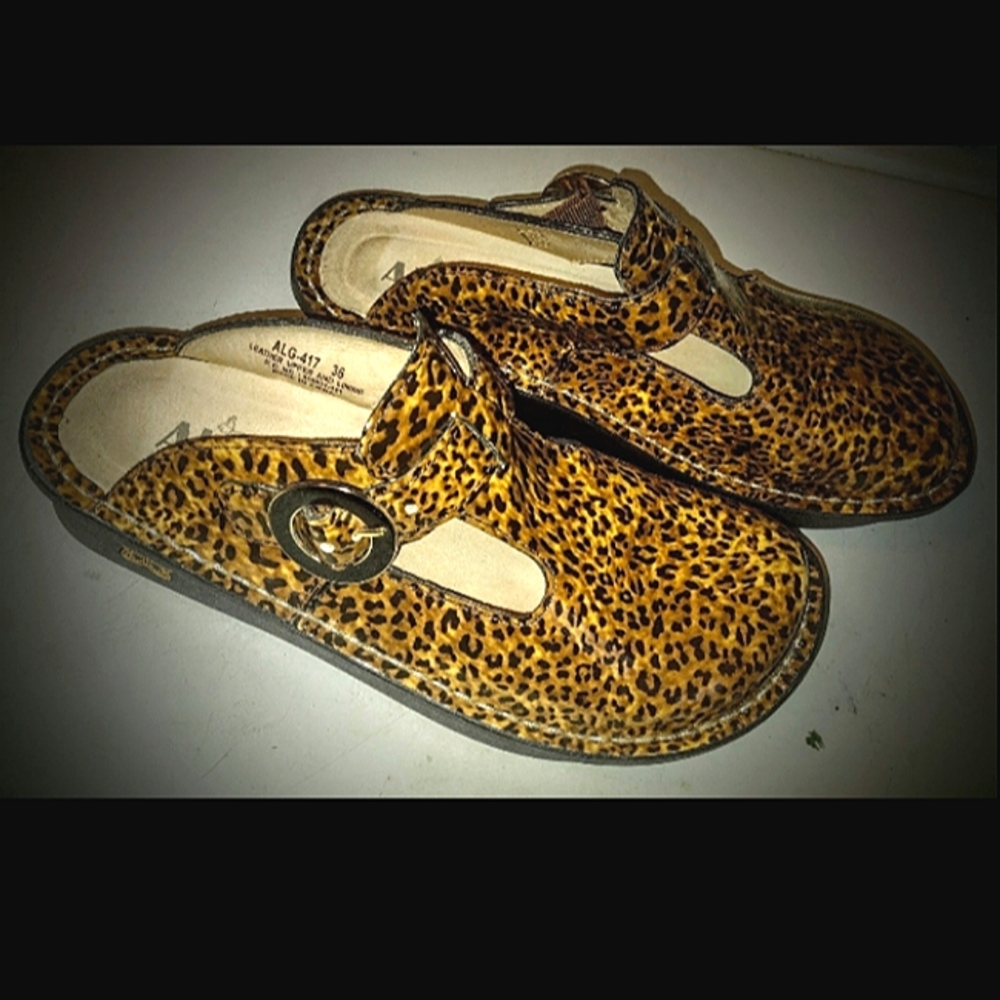 Alegria Shoes Size 6